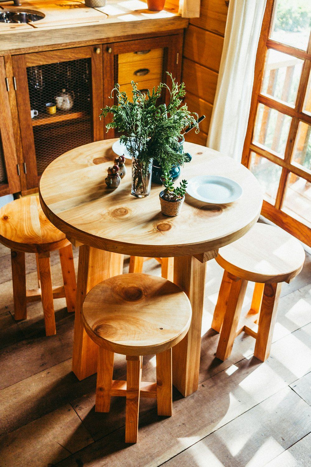 Plants on brown wooden table indoors