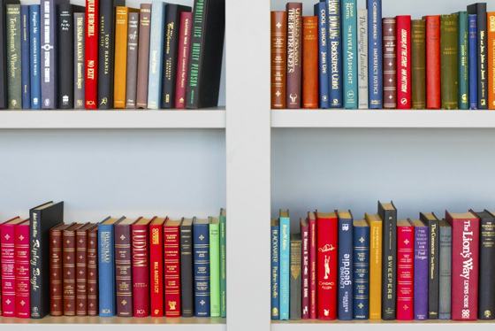 Assorted-title book lot placed on white wooden shelf