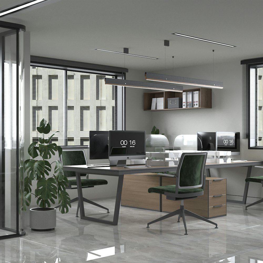 An office with a desk, chairs, and a potted plant