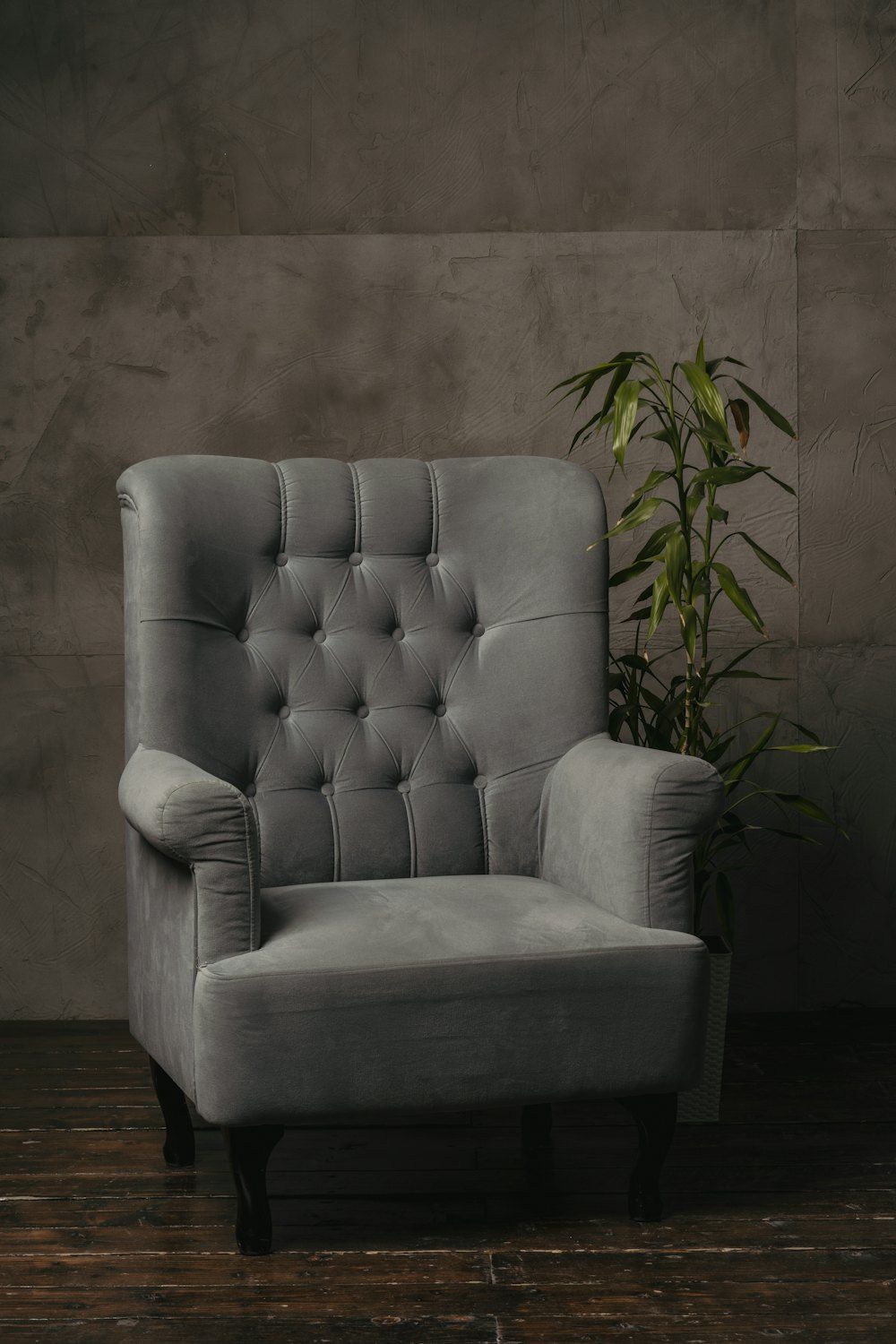 A white couch with a plant on it