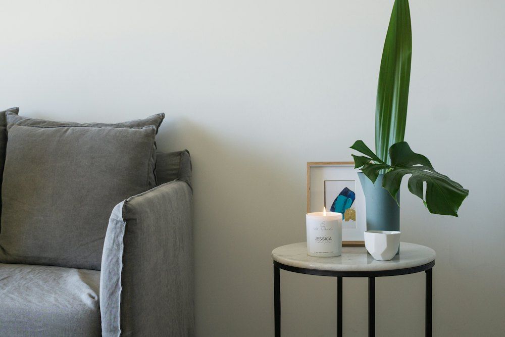 Green plant on white ceramic pot on white round table